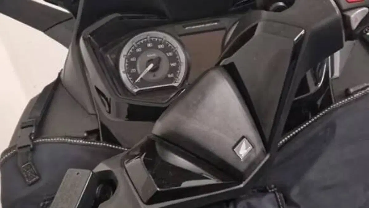 Honda Forza 350 Deluxe (2022 - 24)  (3)