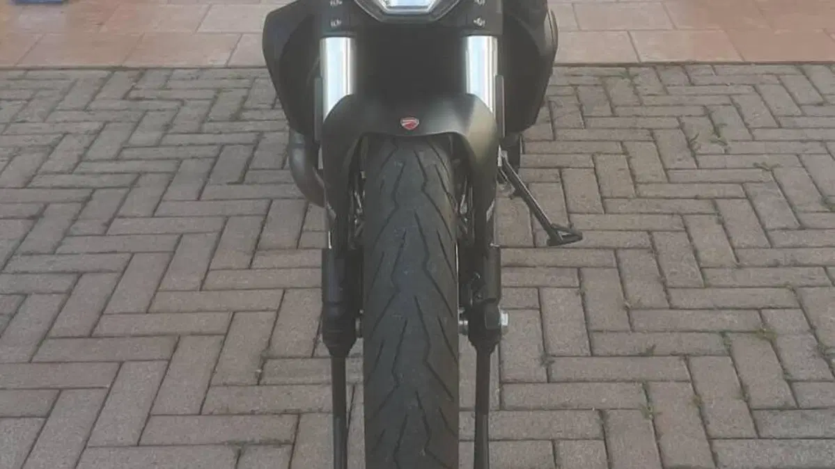 Ducati Monster 821 (2018 - 20)  (3)
