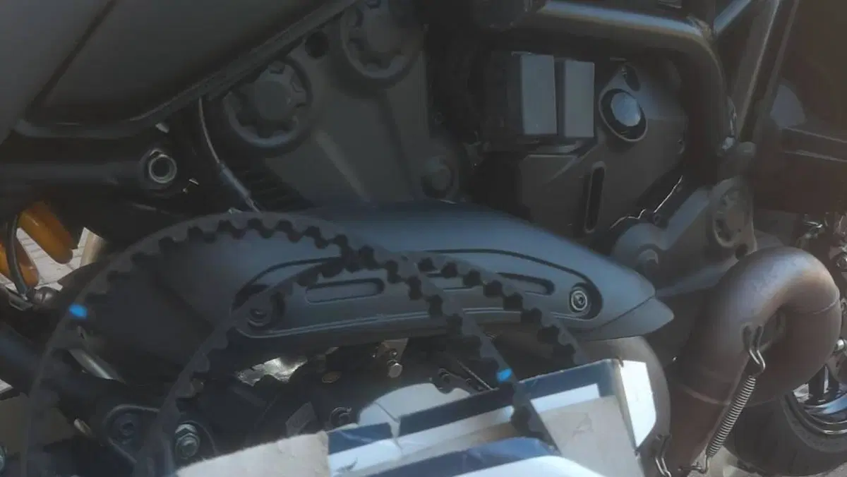 Ducati Monster 821 (2018 - 20)  (7)