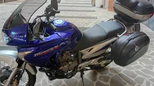 Honda Transalp XL 650V (2005 - 06)  (2)