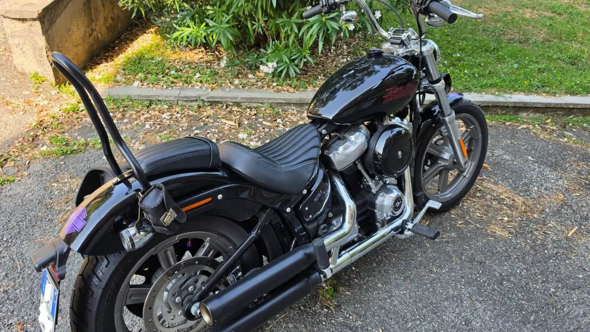 Harley-Davidson 107 Slim (2021) - FLSL  (2)