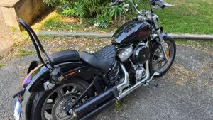 Harley-Davidson 107 Slim (2021) - FLSL  (2)