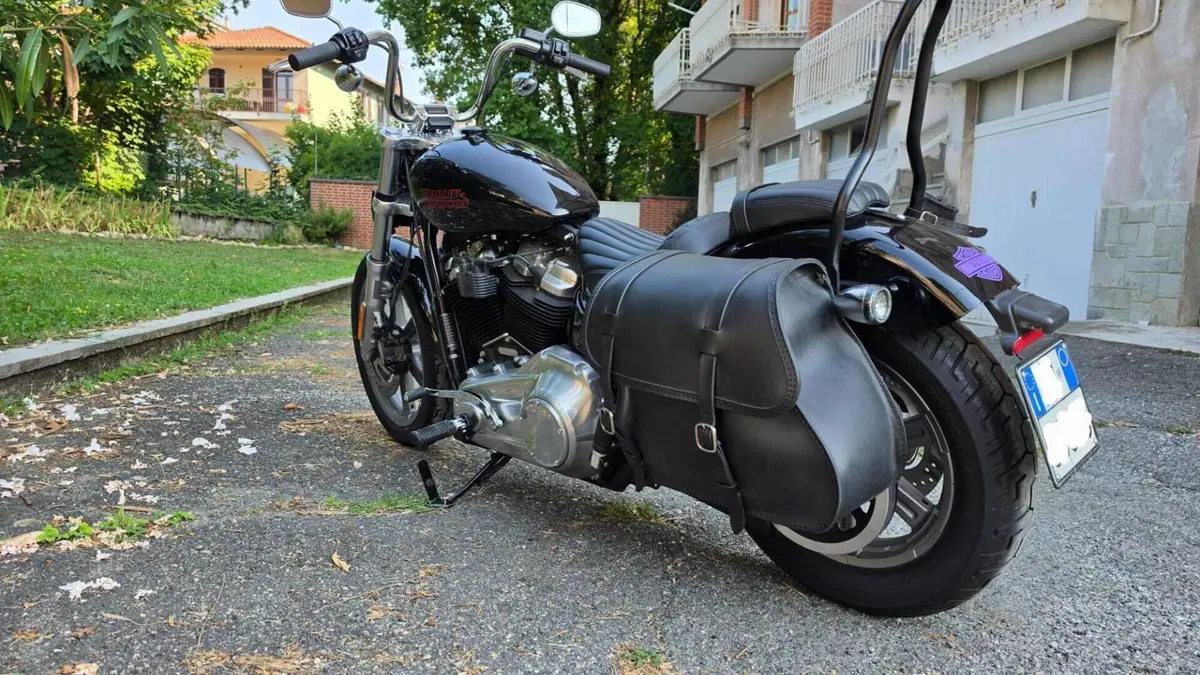 Harley-Davidson 107 Slim (2021) - FLSL  (3)