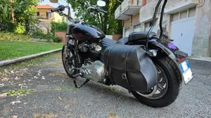 Harley-Davidson 107 Slim (2021) - FLSL  (3)