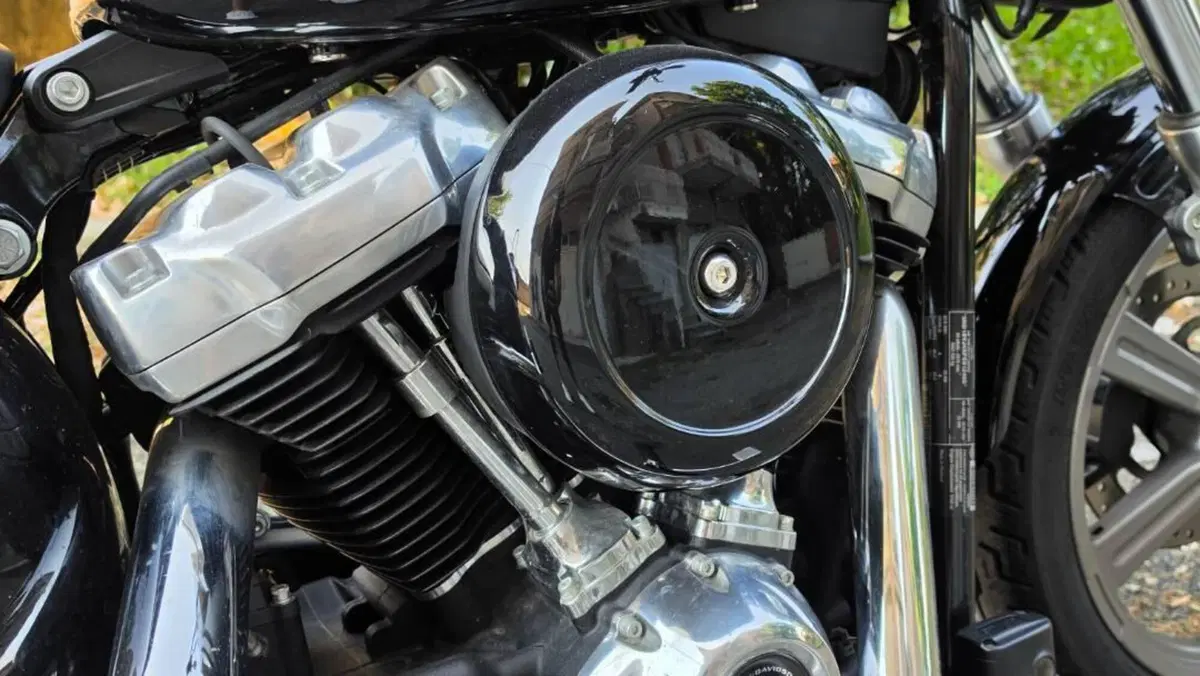 Harley-Davidson 107 Slim (2021) - FLSL  (4)