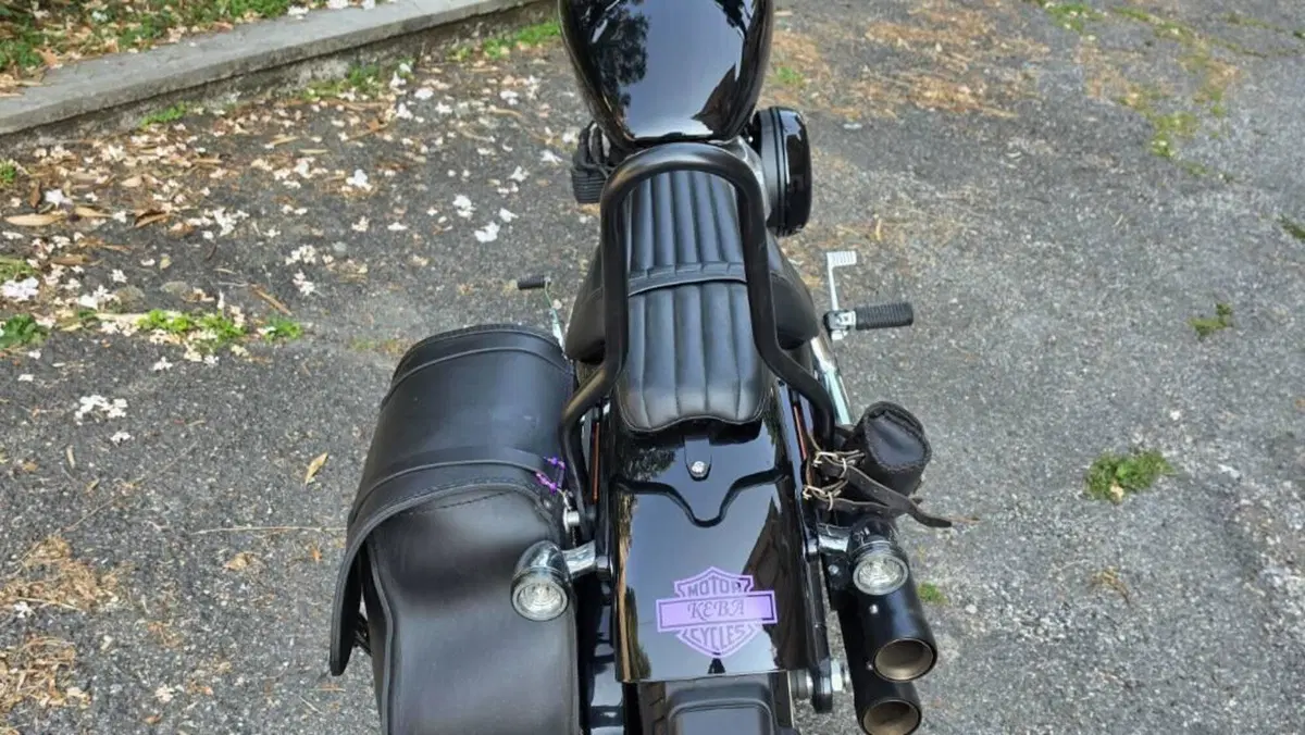 Harley-Davidson 107 Slim (2021) - FLSL  (7)
