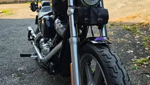 Harley-Davidson 107 Slim (2021) - FLSL  (9)