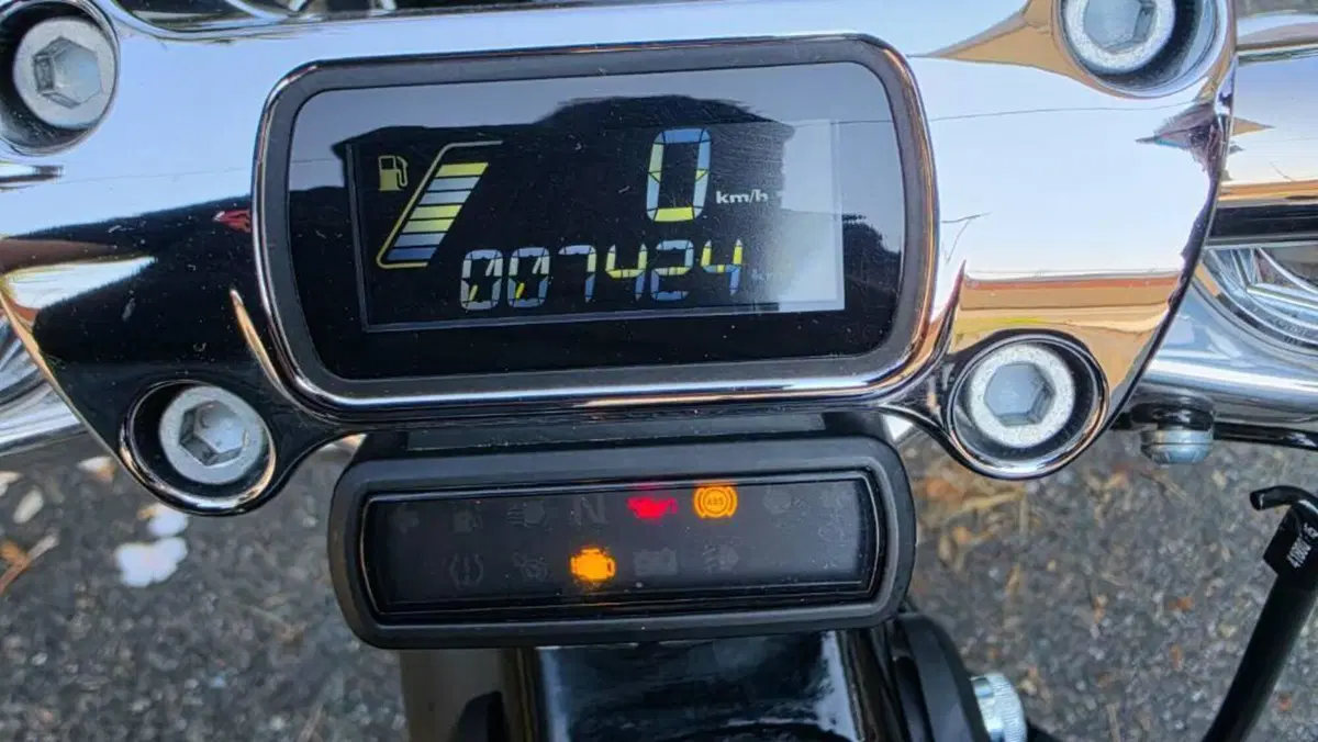 Harley-Davidson 107 Slim (2021) - FLSL  (10)