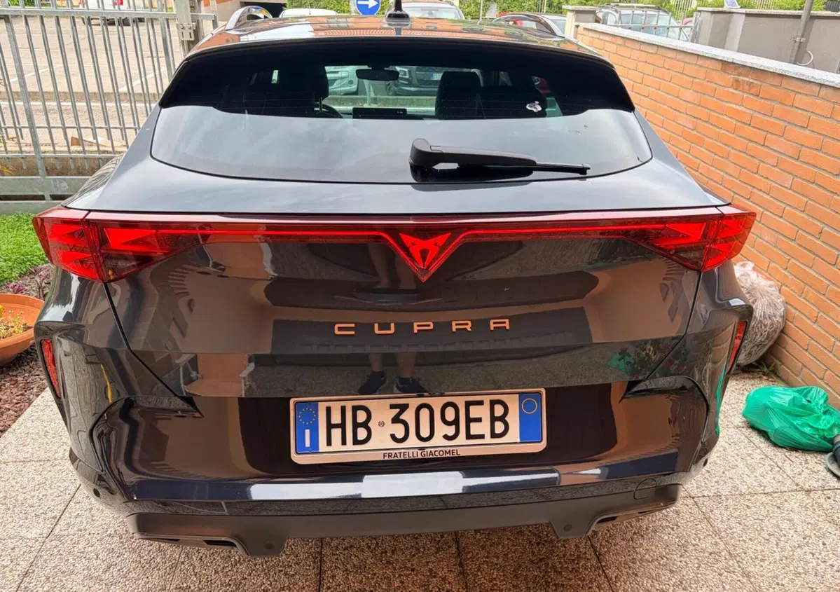Cupra Formentor 1.5 tsi Edge 150cv (2)