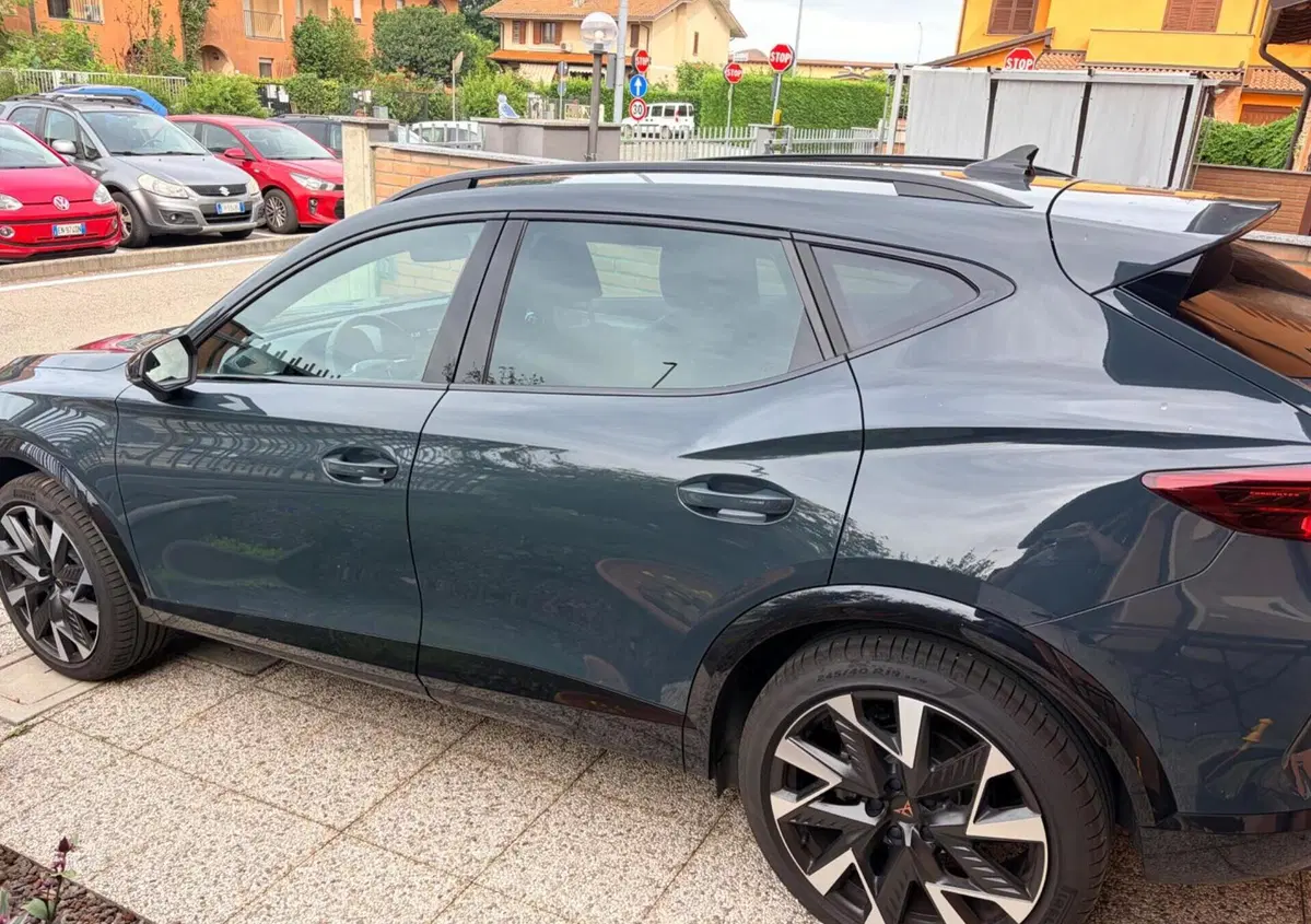 Cupra Formentor 1.5 tsi Edge 150cv (3)