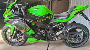 Kawasaki Ninja ZX-4RR (2024 - 26)  (3)