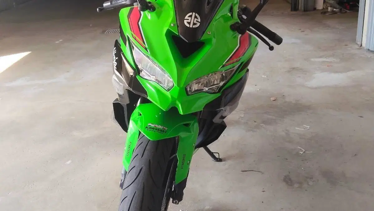 Kawasaki Ninja ZX-4RR (2024 - 26)  (6)