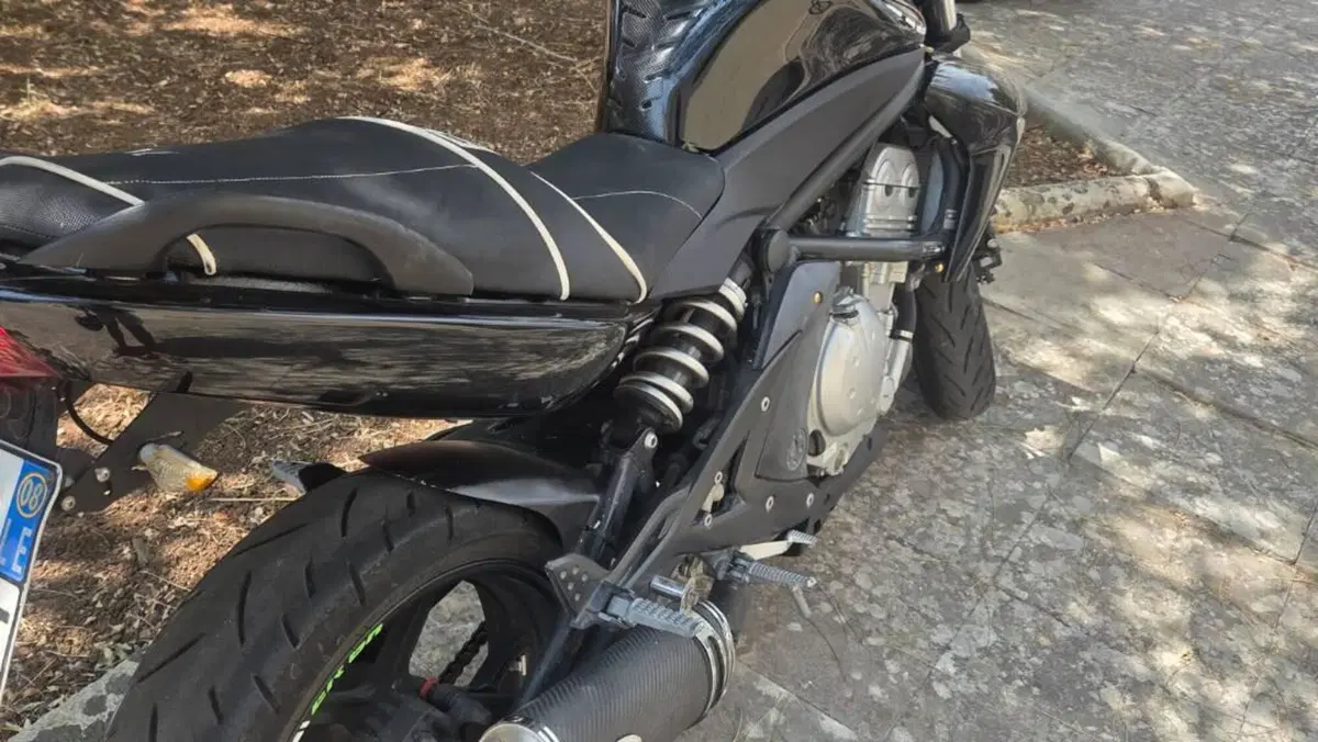 Kawasaki ER-6N (2006 - 09) 