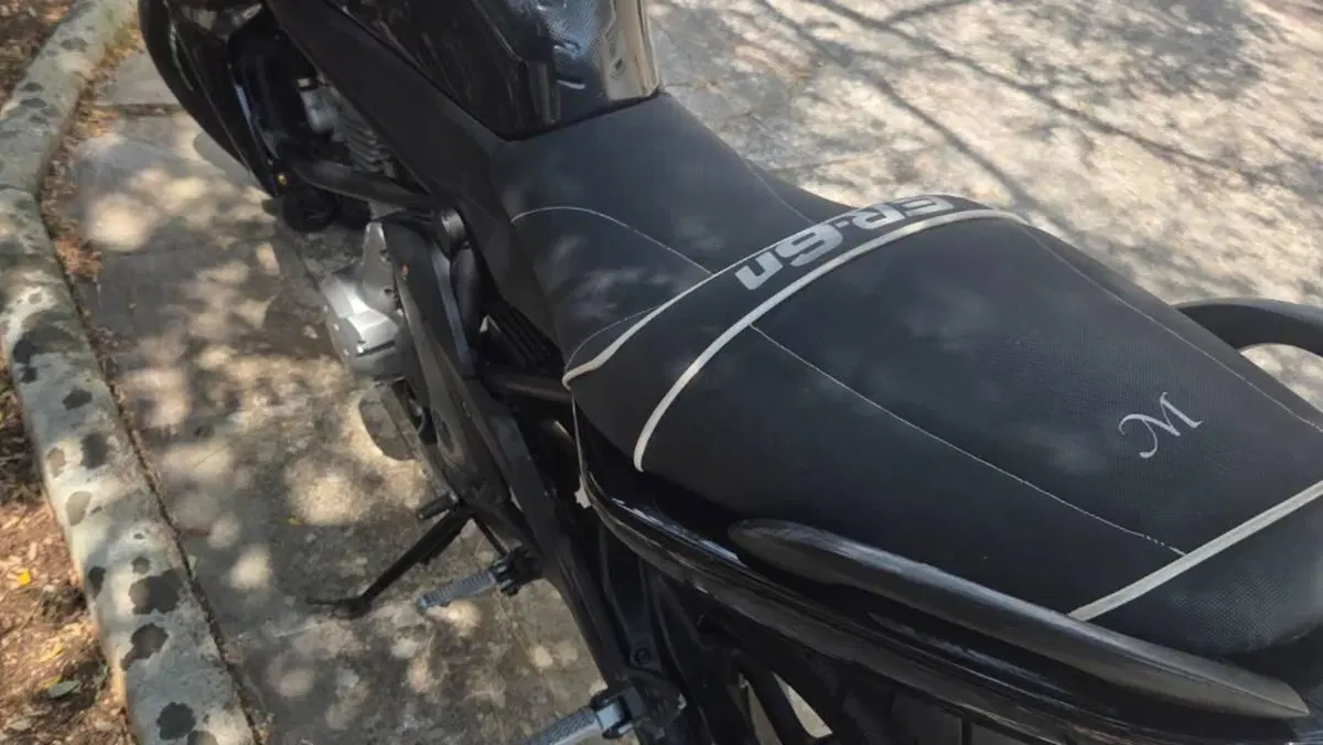 Kawasaki ER-6N (2006 - 09)  (2)