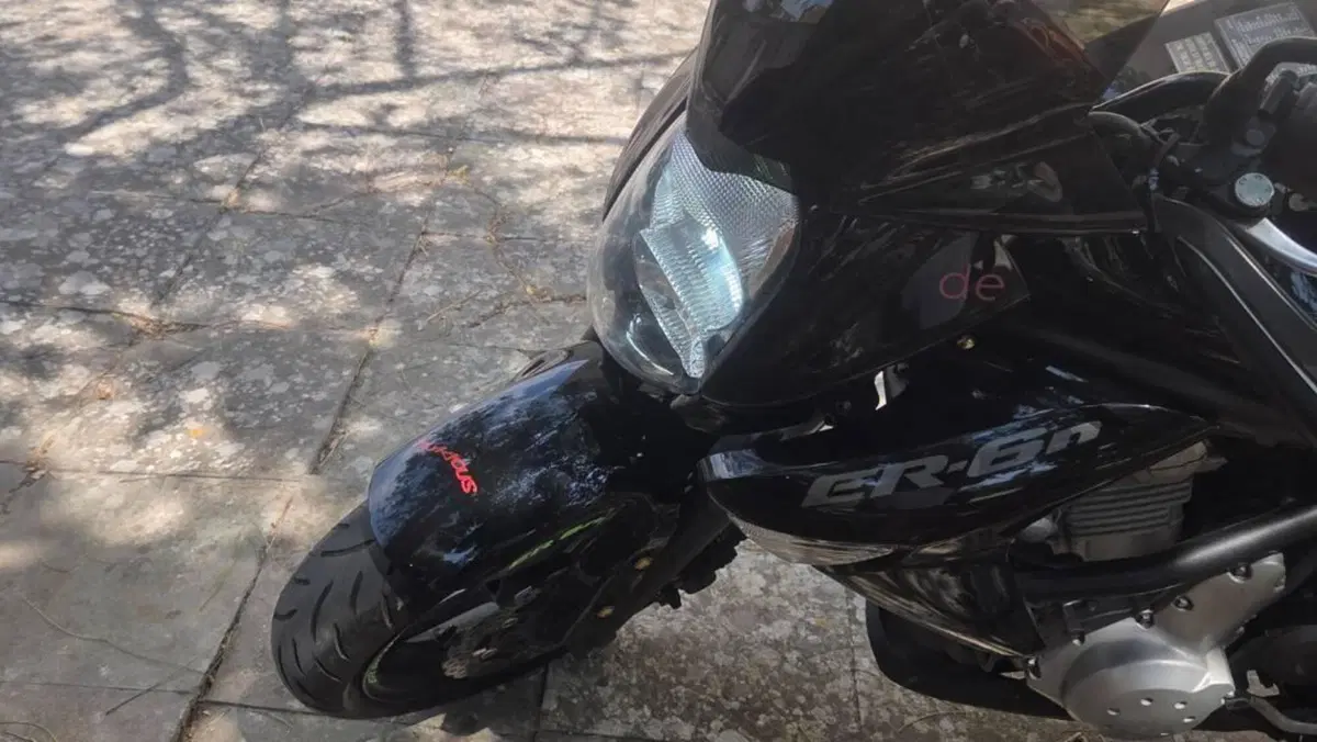 Kawasaki ER-6N (2006 - 09)  (4)