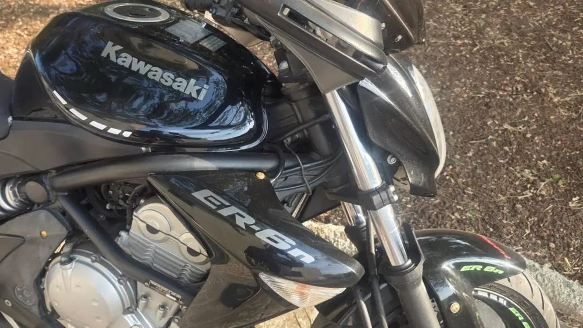 Kawasaki ER-6N (2006 - 09)  (6)