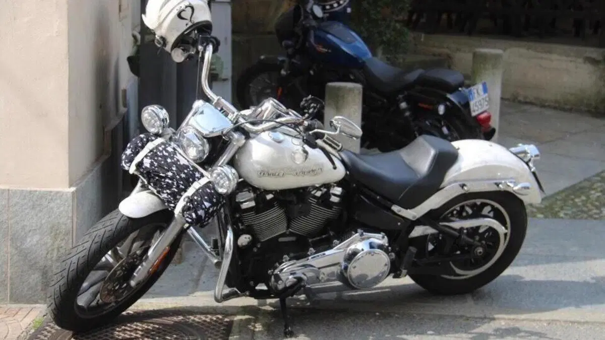 Harley-Davidson 107 Low Rider (2018 - 20) - FXLR  (2)