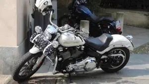 Harley-Davidson 107 Low Rider (2018 - 20) - FXLR  (2)