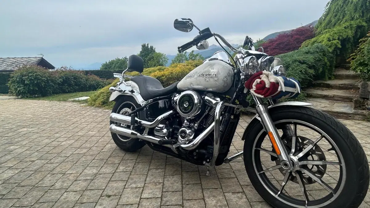 Harley-Davidson 107 Low Rider (2018 - 20) - FXLR  (3)