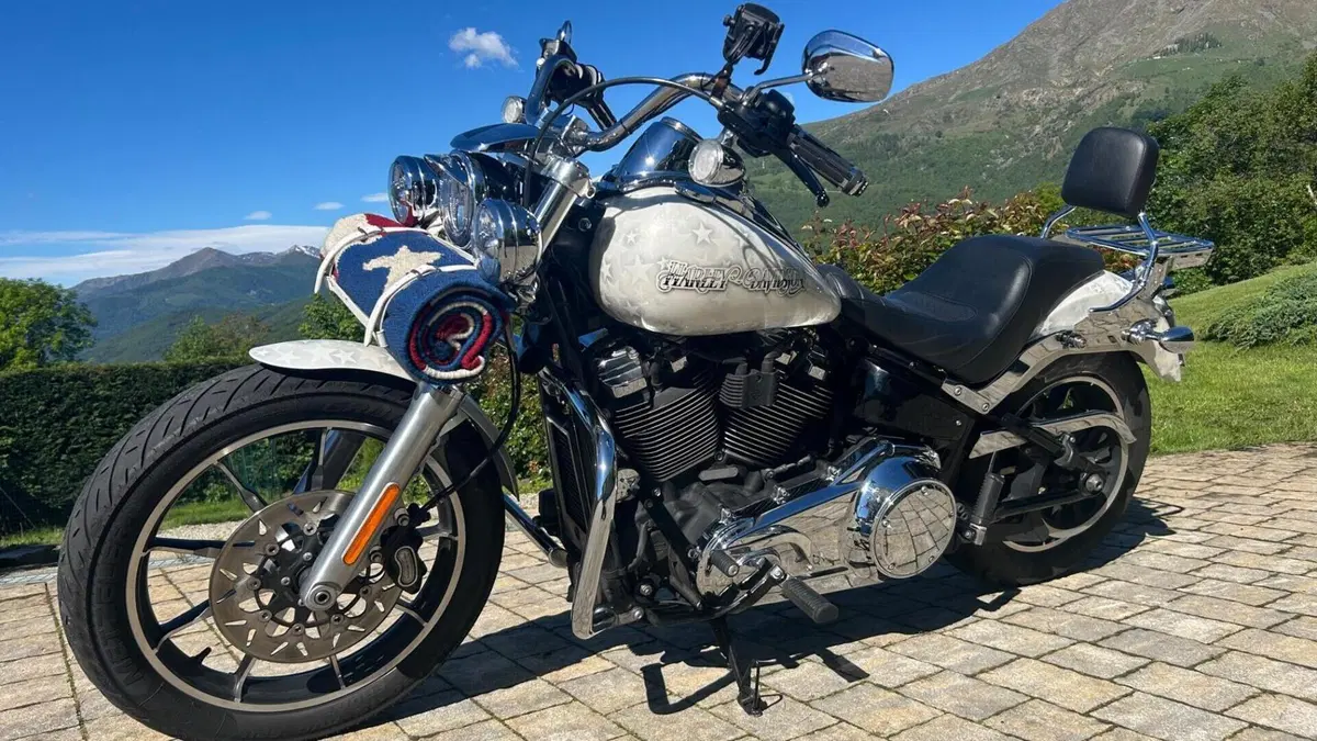 Harley-Davidson 107 Low Rider (2018 - 20) - FXLR  (4)