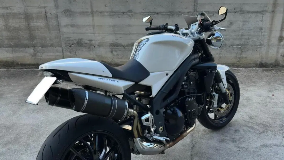 Triumph Speed Triple 1050 (2005 - 11) 
