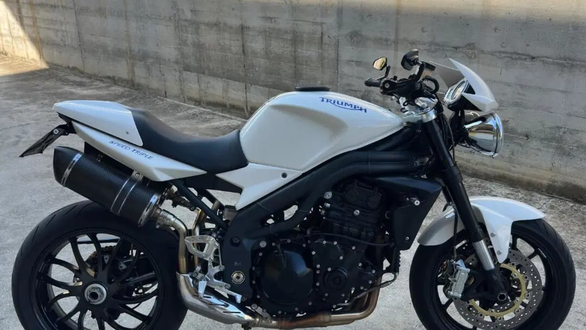 Triumph Speed Triple 1050 (2005 - 11)  (2)