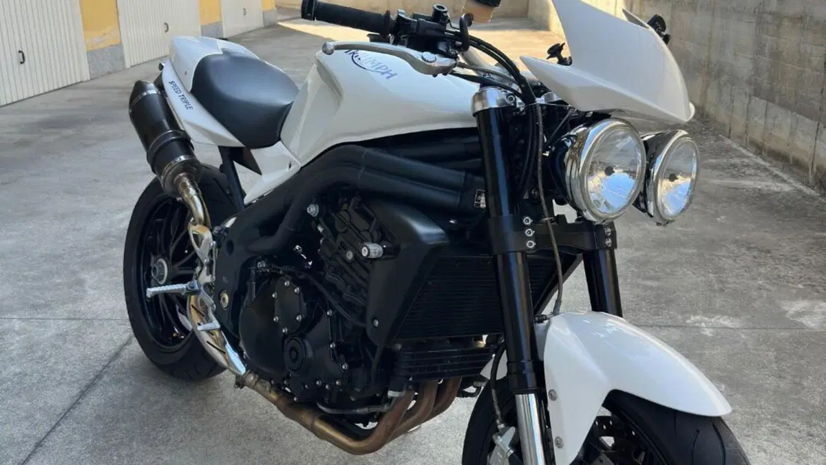 Triumph Speed Triple 1050 (2005 - 11)  (3)