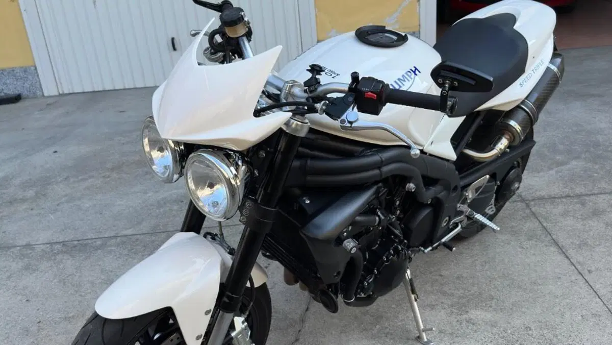 Triumph Speed Triple 1050 (2005 - 11)  (5)