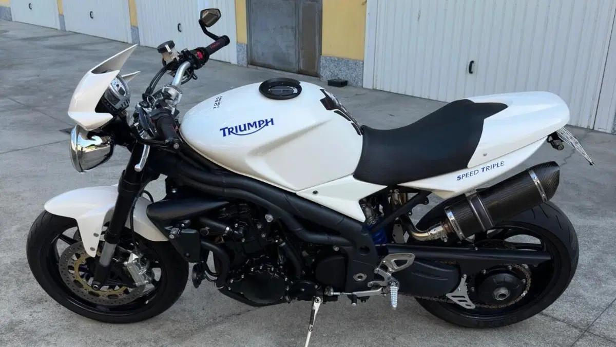 Triumph Speed Triple 1050 (2005 - 11)  (6)