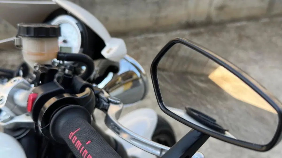 Triumph Speed Triple 1050 (2005 - 11)  (11)