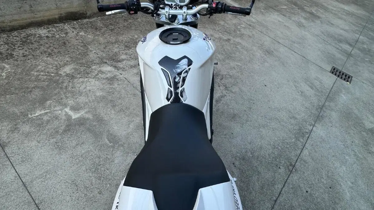 Triumph Speed Triple 1050 (2005 - 11)  (12)