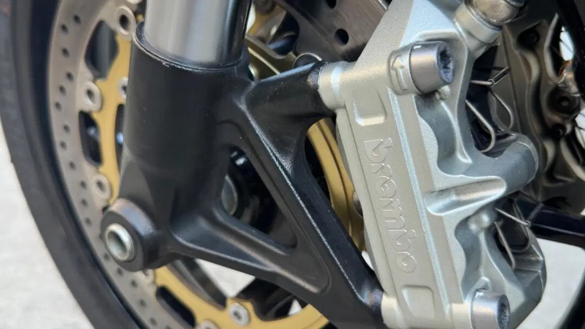 Triumph Speed Triple 1050 (2005 - 11)  (17)