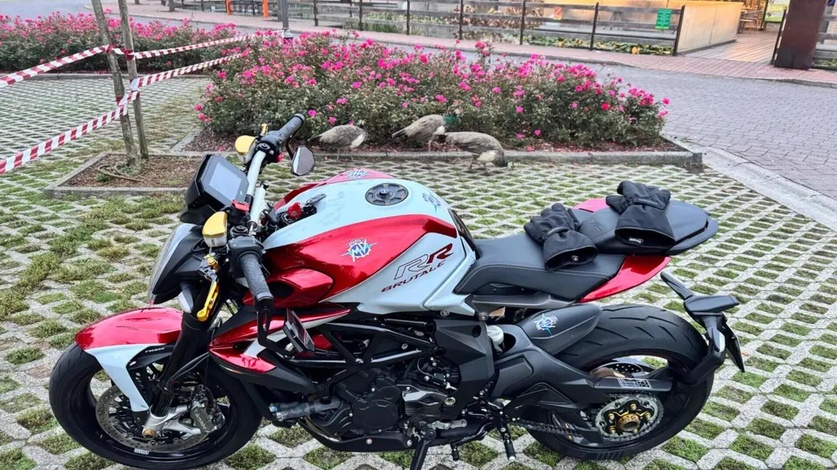 MV Agusta Brutale 800 RR (2021 - 25) 