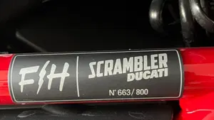 Ducati Scrambler 800 Desert Sled Fasthouse (2021 - 22)  (4)