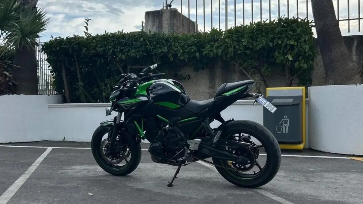 Kawasaki Z 650 (2021 - 24) 