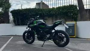 Kawasaki Z 650 (2021 - 24) 