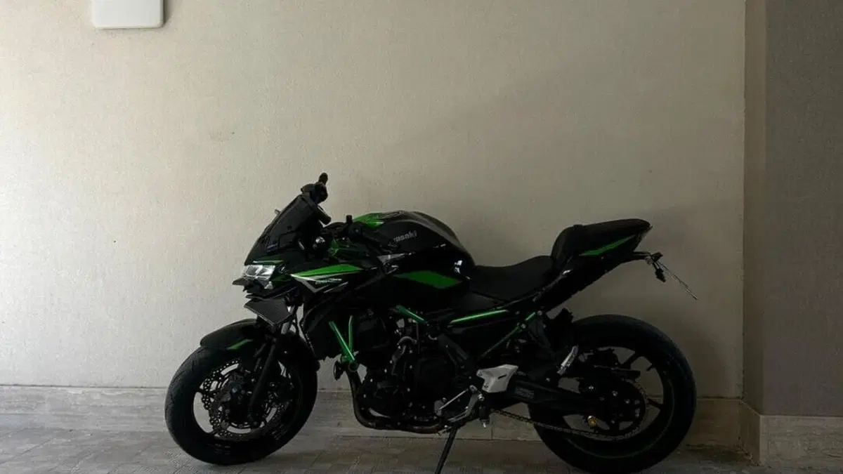 Kawasaki Z 650 (2021 - 24)  (2)