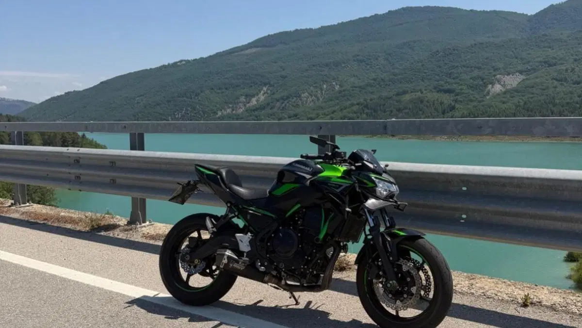Kawasaki Z 650 (2021 - 24)  (4)