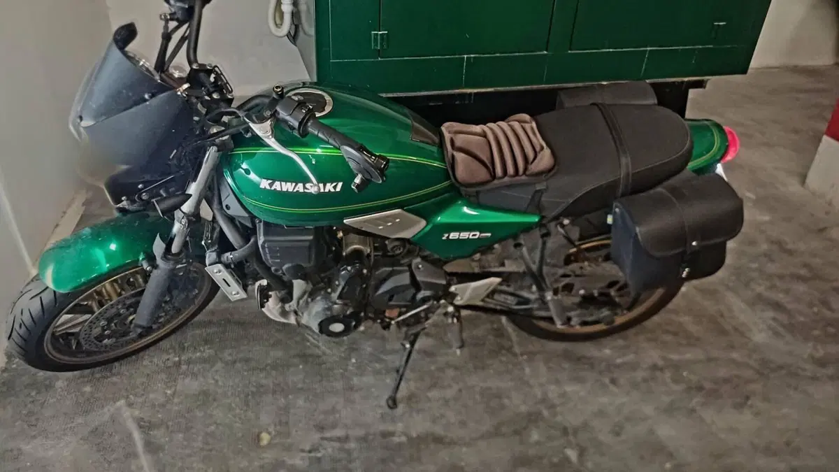 Kawasaki Z 650 RS (2022 - 24) 