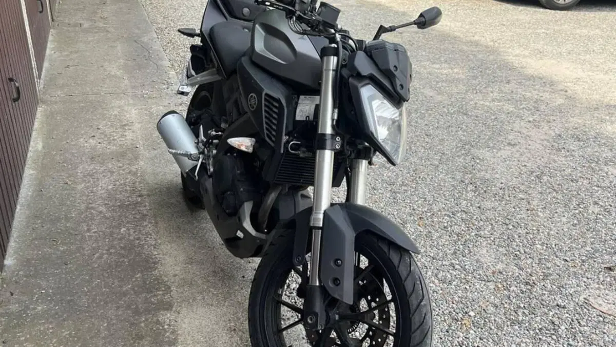 Yamaha MT-125 (2014 - 16)  (3)