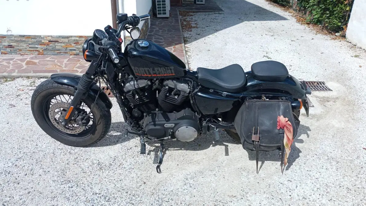 Harley-Davidson 1200 Forty-Eight (2010 - 15)  (2)