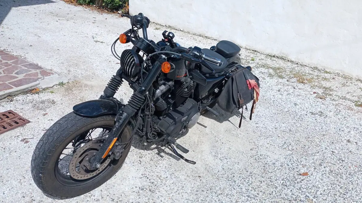 Harley-Davidson 1200 Forty-Eight (2010 - 15)  (3)