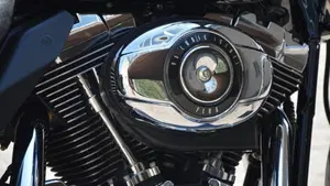 Harley-Davidson 1584 Street Glide (2007) - FLHX  (5)