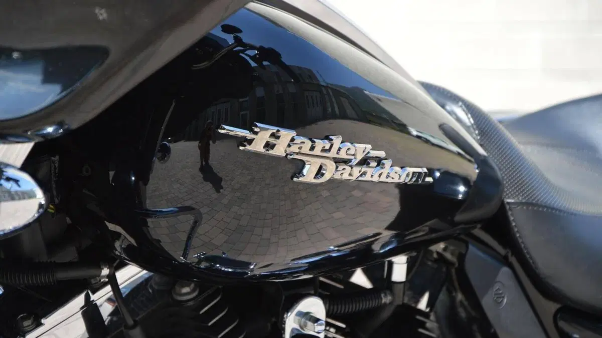 Harley-Davidson 1584 Street Glide (2007) - FLHX  (7)