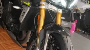 Triumph Speed Triple 1200 RS (2021 - 24)  (7)