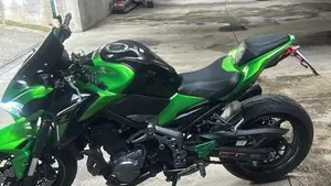 Kawasaki Z 900 Performance (2019)  (2)