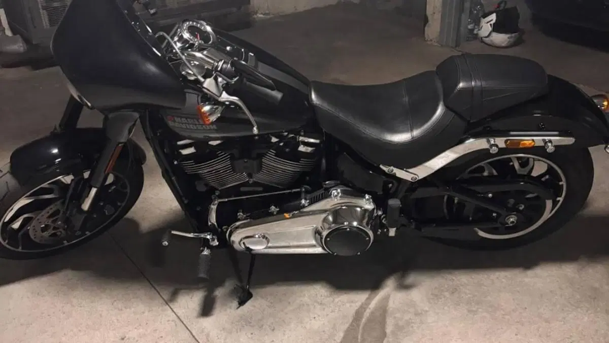 Harley-Davidson 107 Sport Glide (2018 - 20)  (2)