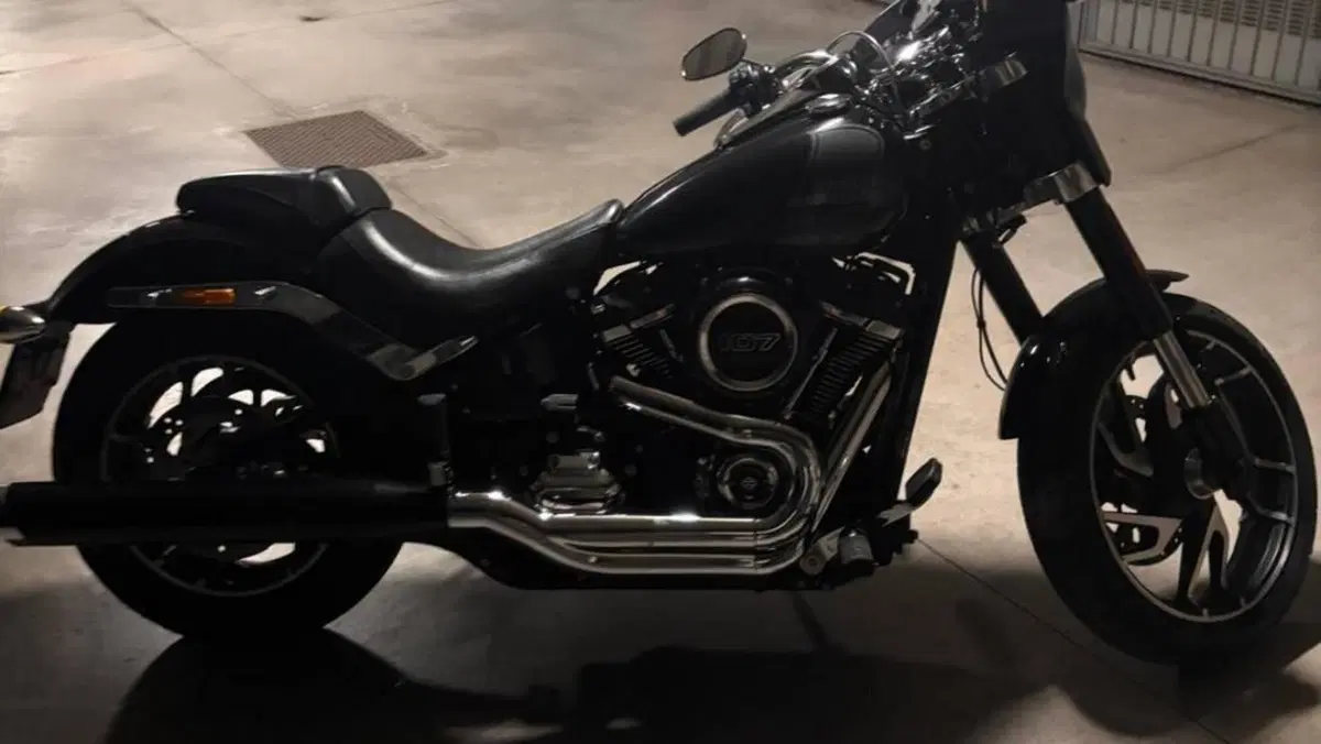 Harley-Davidson 107 Sport Glide (2018 - 20)  (3)
