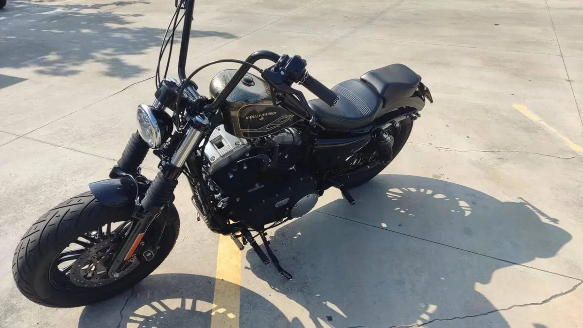Harley-Davidson 1200 Forty-Eight (2016 - 20)  (4)