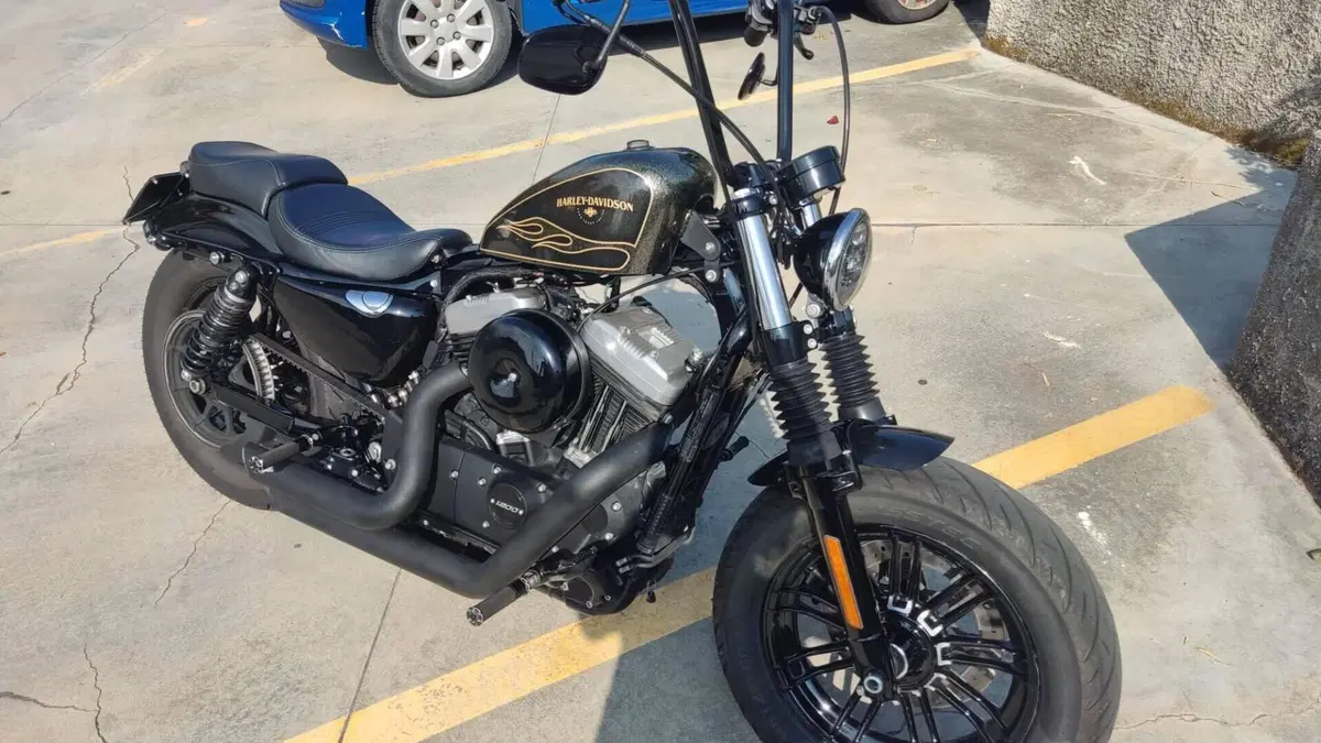 Harley-Davidson 1200 Forty-Eight (2016 - 20)  (2)